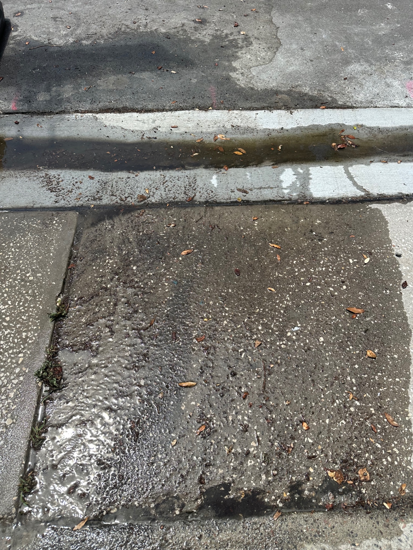 Concrete Pressure Wash — Before